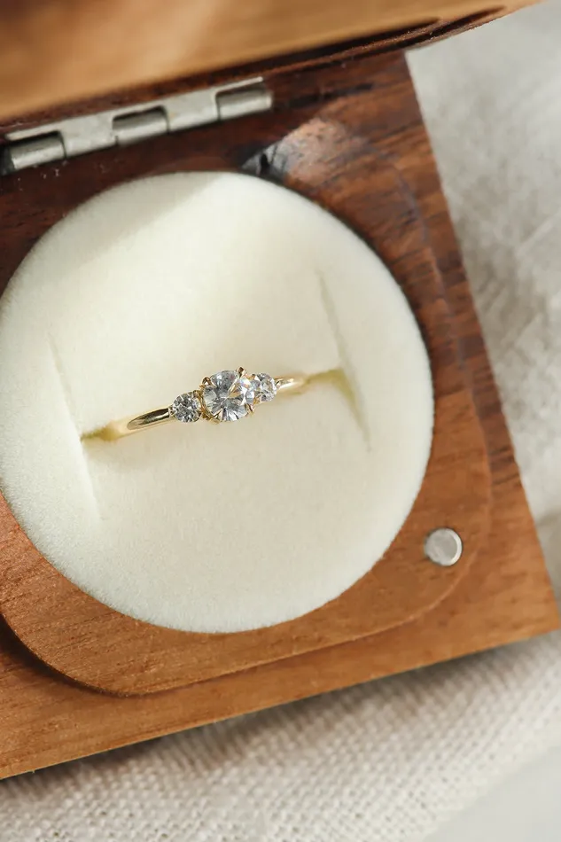 Rings Lacee Alexandra Jewelry Three Stone Engagement Ring With Polished Band in Solid Gold