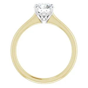 14K YellowWhite 1 CT LabGrown 01 CTW Natural Diamond Accented Engagement Ring LGD12363660010PSTWBC WB Choice Jewelry Rings